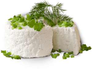 Cottage cheese PNG-48649